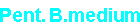 Pent. B.medium